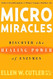 Micro Miracles