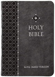 KJV Holy Bible: Granite