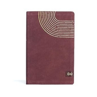 Incourage Devotional Bible CSB