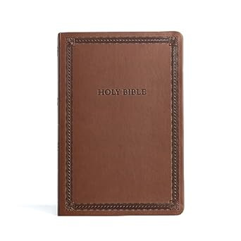 CSB Large Print Thinline Bible Value Edition Brown
