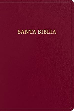 RVR 1960 Biblia letra gigante borgona imitacion piel