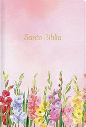 RVR 1960 Biblia letra grande tamano manual edicion especial