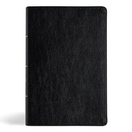 CSB Everyday Study Bible