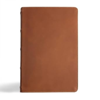 CSB Men's Daily Bible