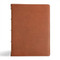 Verse-by-Verse Reference Bible