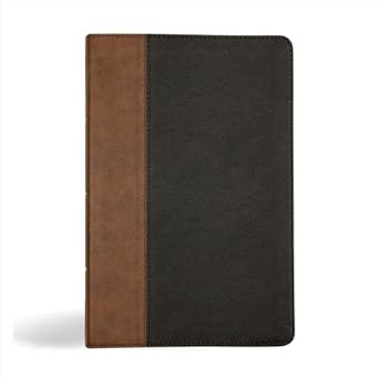 KJV Personal Size Giant Print Bible Black/Brown LeatherTouch Red