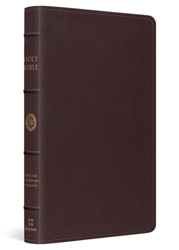 Large Print Thinline Reference Bible