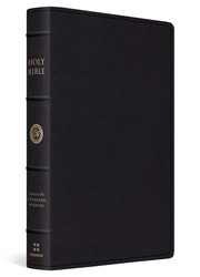 ESV Verse-by-Verse Reference Bible