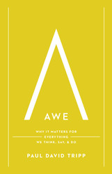 Awe: Why It Matters for Everything We Think Say and Do