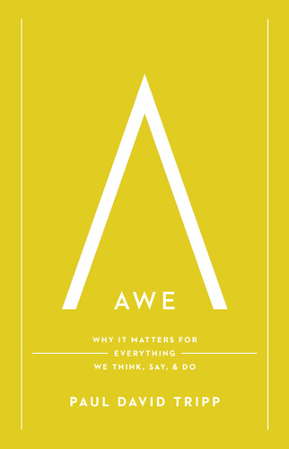 Awe: Why It Matters for Everything We Think Say and Do