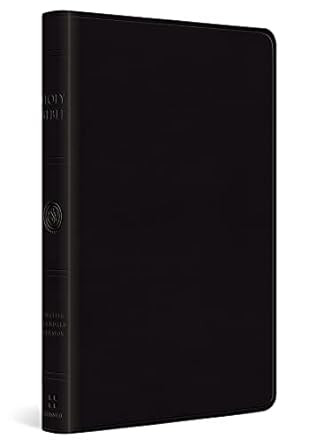 ESV Large Print Value Thinline Bible