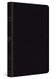 ESV Large Print Value Thinline Bible