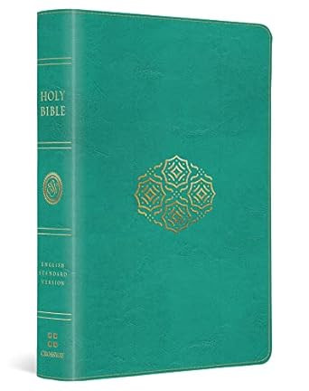 ESV Large Print Compact Bible