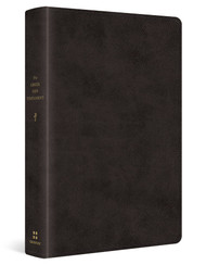 The Greek New Testament Produced at Tyndale House Cambridge