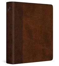ESV Journaling Bible