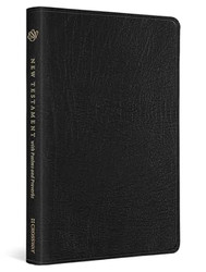 ESV New Testament with Psalms and Proverbs