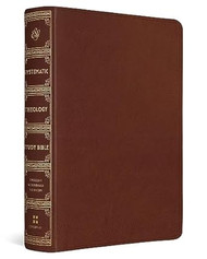 ESV Systematic Theology Study Bible