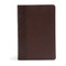 CSB Study Bible For Women
