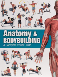 Anatomy & Bodybuilding