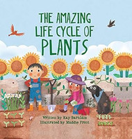 The Amazing Life Cycle of Plants