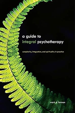 A Guide to Integral Psychotherapy