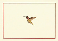 Hummingbird Flight Note Cards
