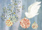Festive Dove Deluxe Boxed Holiday Cards