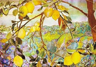 Tiffany Lemon Tree Note Cards