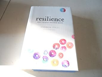 Resilience: Why Things Bounce Back
