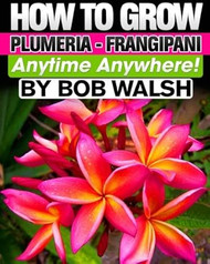 How To Grow Plumeria - Frangipani Anytime Anywhere