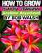 How To Grow Plumeria - Frangipani Anytime Anywhere