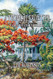 A Tropical Frontier Tales of Old Florida