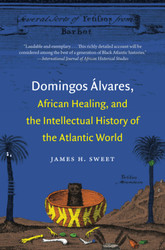 Domingos -lvares African Healing and the Intellectual