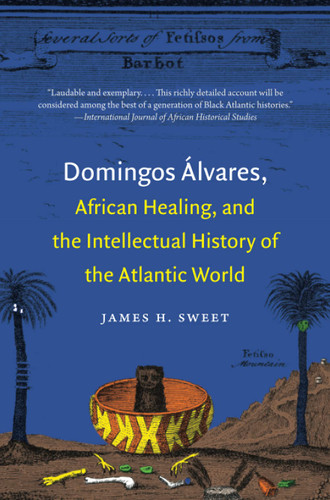 Domingos -lvares African Healing and the Intellectual