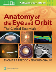 Anatomy of the Eye and Orbit
