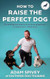 How to Raise the Perfect Dog