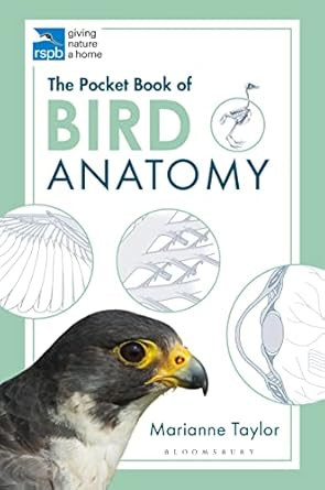 Pocket Book Of Bird Anatomy