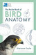Pocket Book Of Bird Anatomy