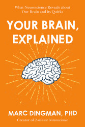 Your Brain Explained
