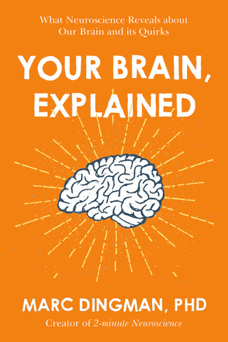 Your Brain Explained
