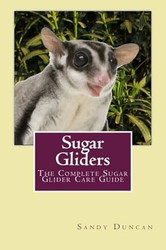Sugar Gliders