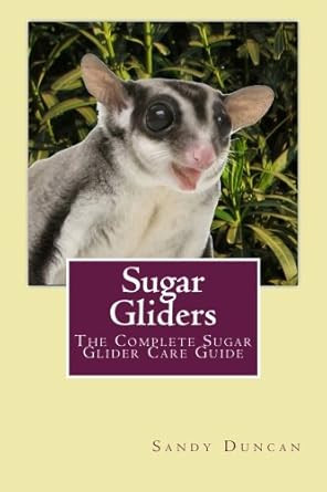 Sugar Gliders