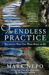 The Endless Practice