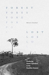 Forest Lost
