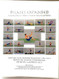Pilates Expanded Matwork & Props Photo Encyclopedia