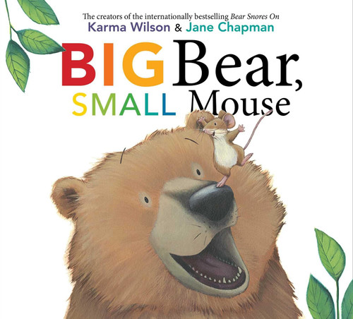 Big Bear Small Mouse