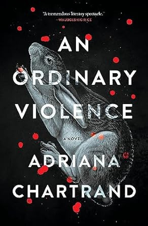 An Ordinary Violence: A Novel