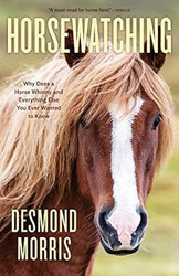 Horsewatching