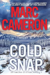 Cold Snap: An Action Packed Novel of Suspense