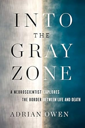 Into the Gray Zone